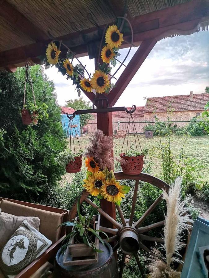 Etno Kuca Teodora Bed & Breakfast Stajicevo Exterior photo